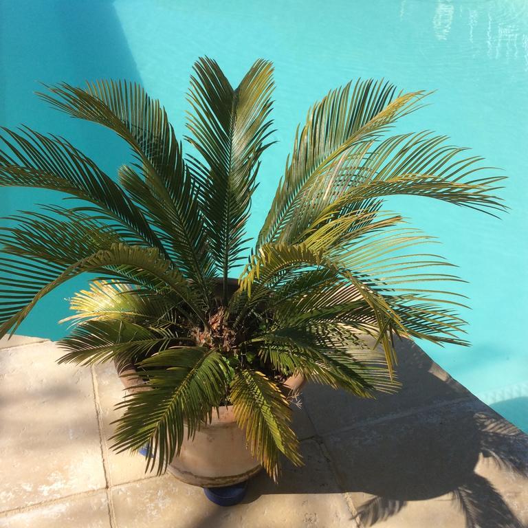 مبيت وإفطار Saint-Séverin Le Chalet De Luxe المظهر الخارجي الصورة